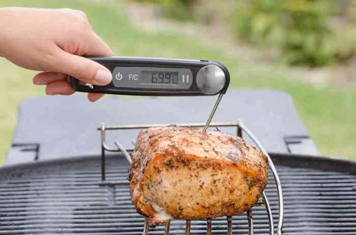 Food probe thermometer that display both fahrenheit and celsius